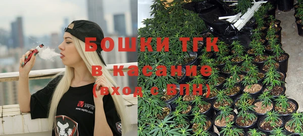 винт Мегион