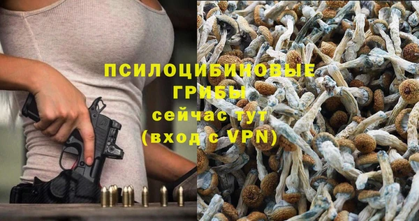 кокс Магас