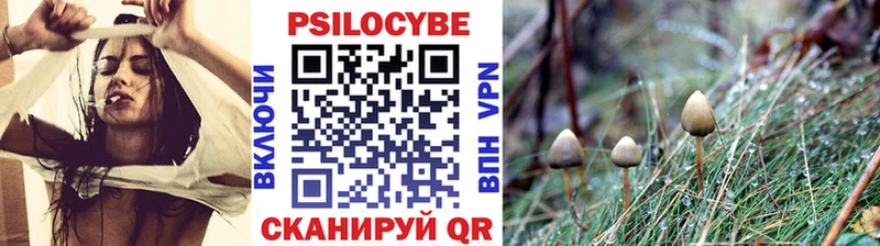 Галлюциногенные грибы Cubensis  сколько стоит  Южноуральск 