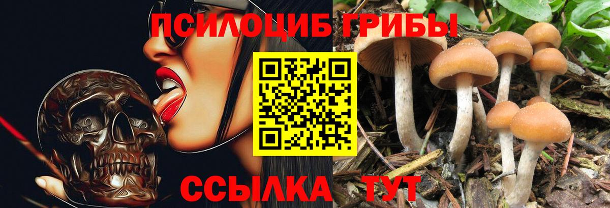 Галлюциногенные грибы мухоморы Южноуральск